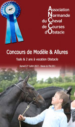 Concours de Modèles & Allures