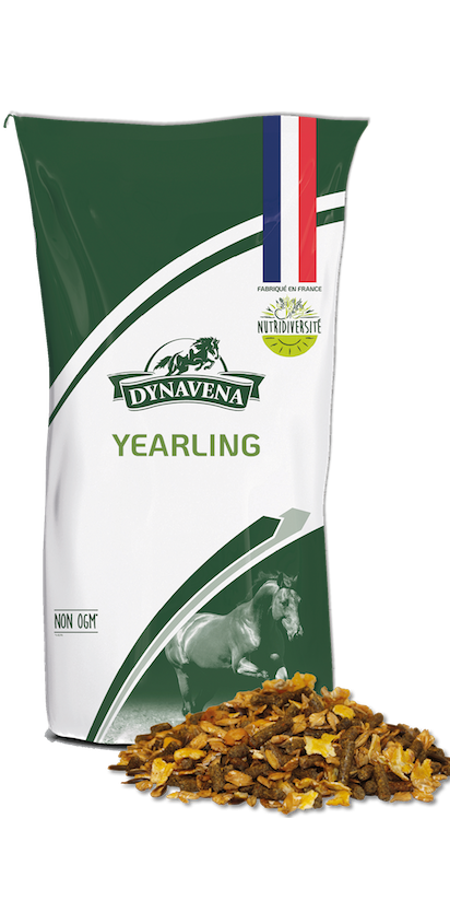 Sac Dynavena Yearling