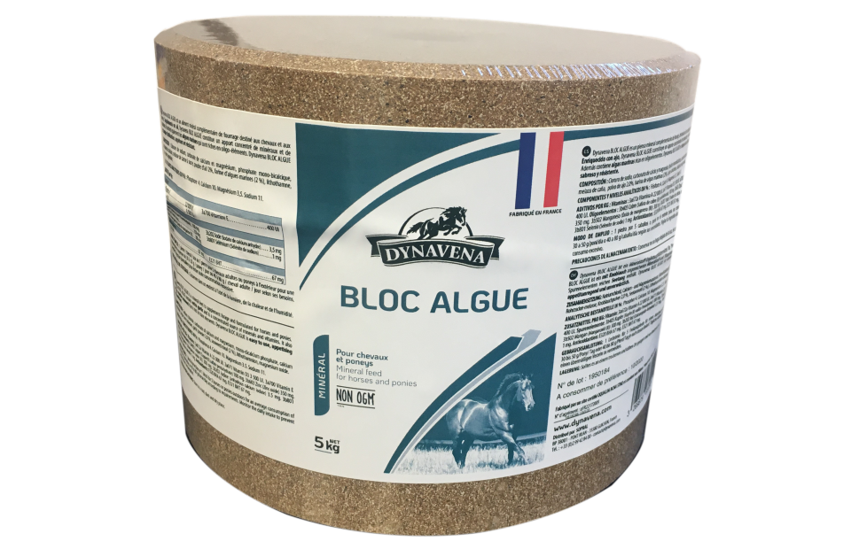 Bloc Algue