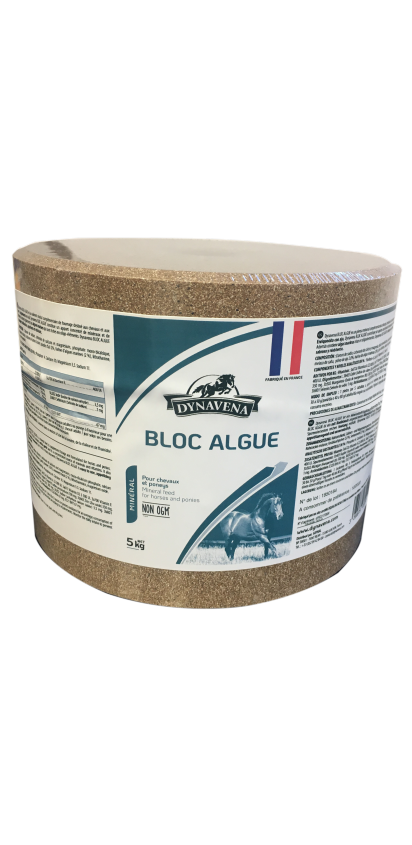 Bloc Algue