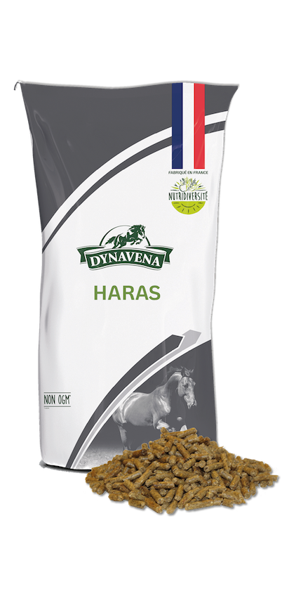 Sac Dynavena Haras