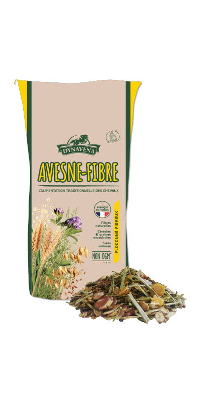 Avesne Fibre