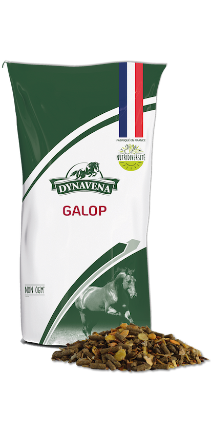 GALOP