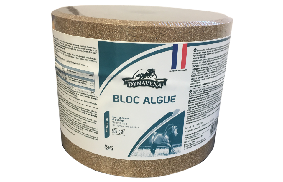 BLOC ALGUE