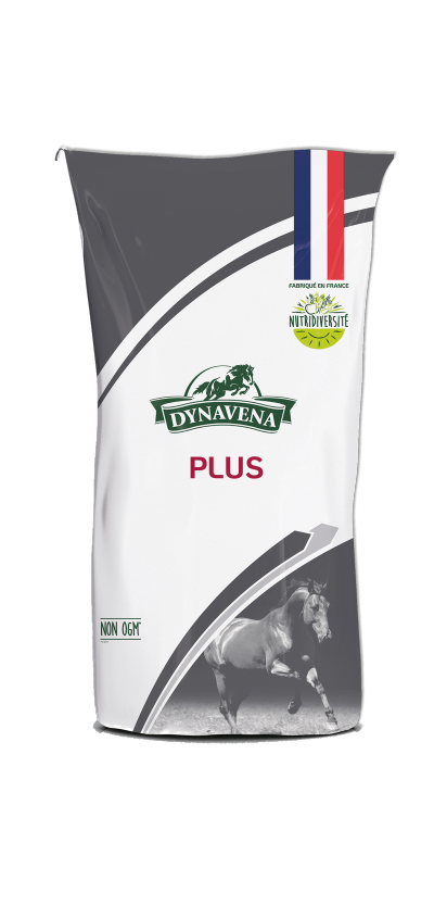Sac Dynavena Plus Activité