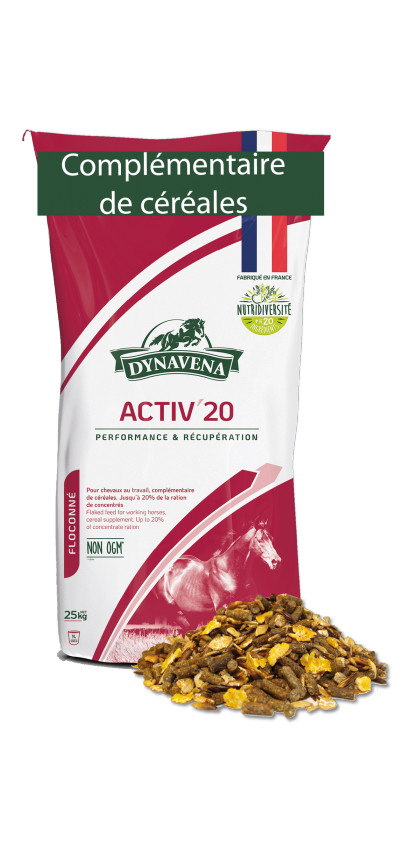 Sac Dynavena Activ'20