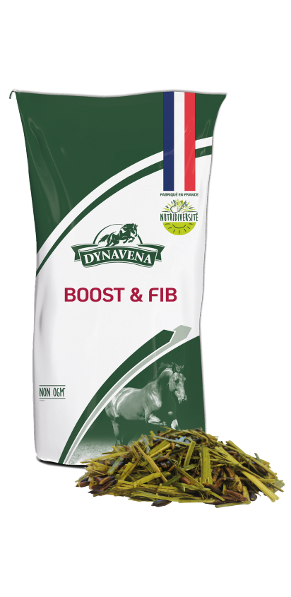 Dynavena Boost & Fib 