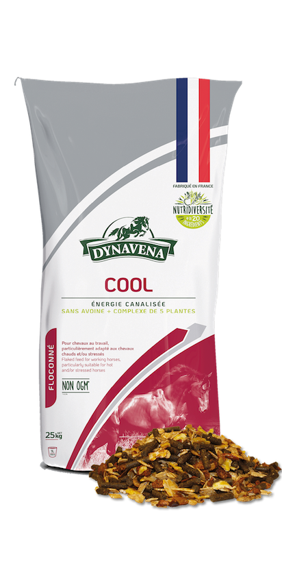 Sac Dynavena COOL