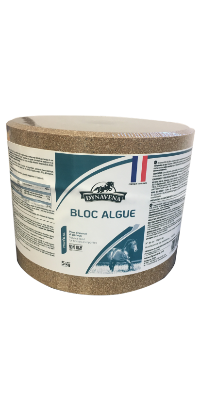 BLOC ALGUE