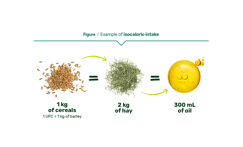 Figure / Example of isocaloric intake: 1kd of cereals (1 UFC = 1kg of barley) = 2kg of hay = 300mL of oil