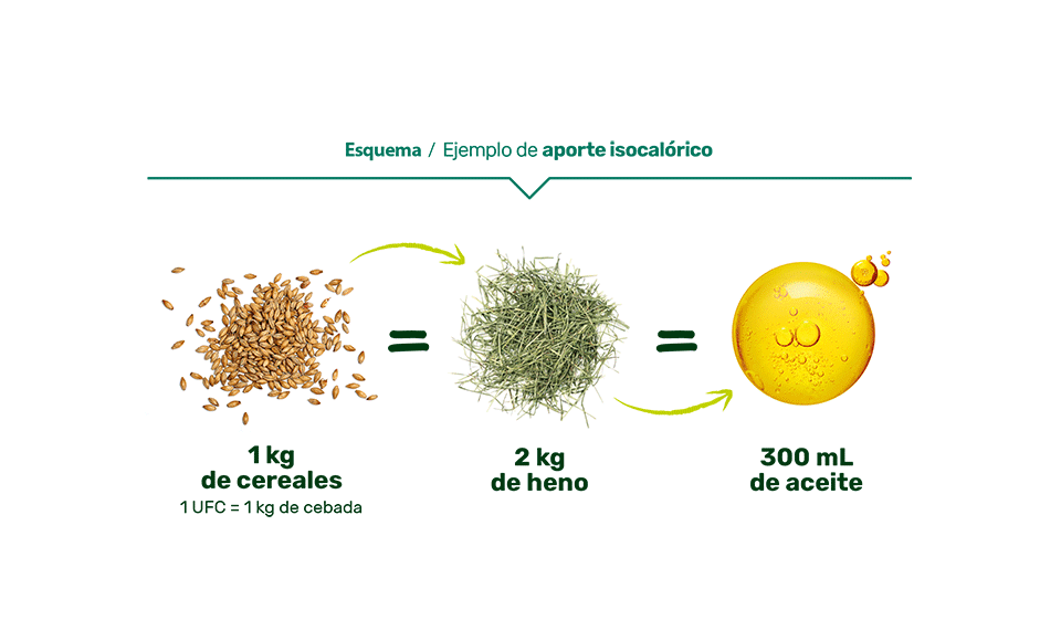 Esquema / Ejemplo de aporte isocalórico : 1kg de cereales (1UFC = 1kg de cebada) = 2kg de heno = 300mL de aceite 