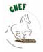 Logo CNEF